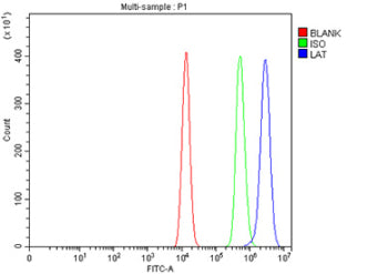Flow Cytometry analysis of HEL cells using anti-LAT antibody. Overlay histogram showing HEL cells st