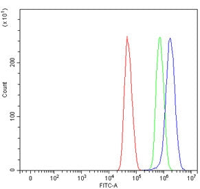 SFR1 Antibody / MEI5
