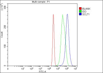 Flow Cytometry analysis of 293T cells using anti-SCLT1 antibody. Overlay histogram showing 293T cell