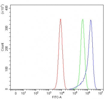 RSPH3 Antibody / Radial spoke head protein 3