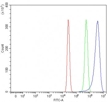 RETSAT Antibody / All-trans-retinol 13,14-reductase