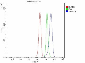 Flow Cytometry analysis of PC-3 cells using anti-SEC61B antibody. Overlay histogram showing PC-3 cel