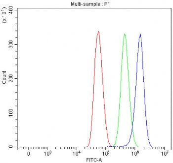 TPRBK Antibody / TTC28