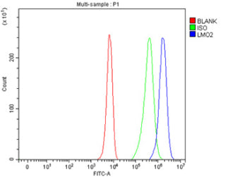 Flow Cytometry analysis of K562 cells using anti-LMO2 antibody. Overlay histogram showing K562 cells