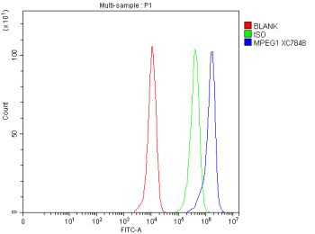 Flow Cytometry analysis of THP-1 cells using anti-MPEG1 antibody. Overlay histogram showing THP-1 ce