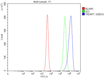 Flow Cytometry analysis of RM-1 cells using anti-Dnmt2 antibody. Overlay histogram showing RM-1 cell