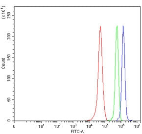 Flow cytometry testing of human RT4 cells with MSX2 antibody at 1ug/million cells (blocked with goat