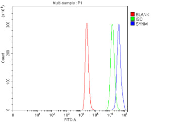 Flow Cytometry analysis of THP-1 cells using anti-SYNM antibody. Overlay histogram showing THP-1 cel