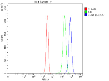 Flow Cytometry analysis of Jurkat cells using anti-SUN1 antibody. Overlay histogram showing human Ju