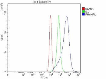Flow Cytometry analysis of CACO-2 cells using anti-PHYHIPL antibody. Overlay histogram showing CACO-