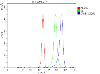 Flow Cytometry analysis of Jurkat cells using anti-DTNB antibody. Overlay histogram showing Jurkat c