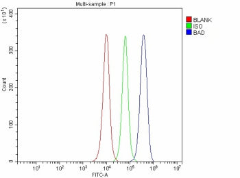 Flow Cytometry analysis of human JK cells using anti-BAD antibody. Overlay histogram showing JK cell