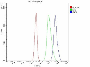 Flow Cytometry analysis of JK cells using anti-GK5 antibody. Overlay histogram showing JK cells stai