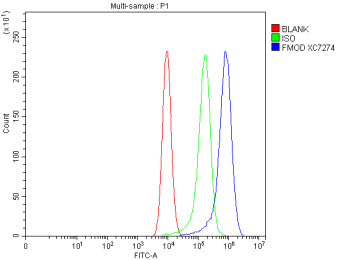 Flow Cytometry analysis of Caco-2 cells using anti-FMOD antibody. Overlay histogram showing Caco-2 c