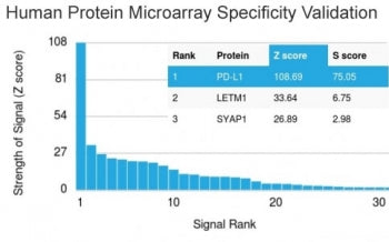 Analysis of HuProt(TM) microarray containing more than 19,000 full-length human proteins using PD-L1