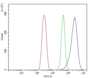 Gsta3 Antibody