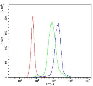 IL15 Antibody