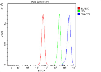 Flow Cytometry analysis of SH-SY5Y cells using anti-SNAP25 antibody. Overlay histogram showing SH-SY