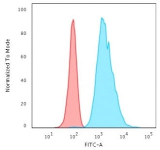 KRT8 Antibody / Cytokeratin 8