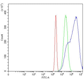 Flow cytometry testing of human HeLa cells with GAS1 antibody at 1ug/million cells (blocked with goa