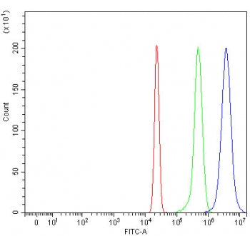 Flow cytometry testing of human HepG2 cells with RTEL1 antibody at 1ug/million cells (blocked with g