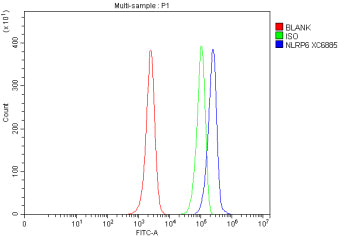 Flow Cytometry analysis of HL-60 cells using anti-NLRP6 antibody. Overlay histogram showing HL-60 ce