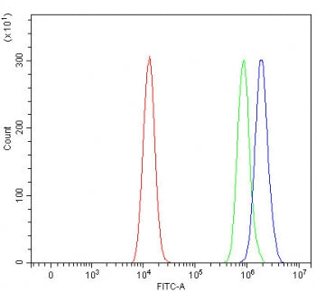 Flow cytometry testing of human HEL cells with SMCR8 antibody at 1ug/million cells (blocked with goa