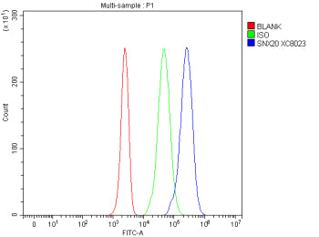 Flow Cytometry analysis of Jurkat cells using anti-SNX20 antibody. Overlay histogram showing Jurkat