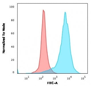 Flow cytometry testing of PFA-fixed human U-87 MG cells with recombinant CD63 antibody (clone rMX-49