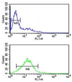 Phospholamban Antibody / PLN