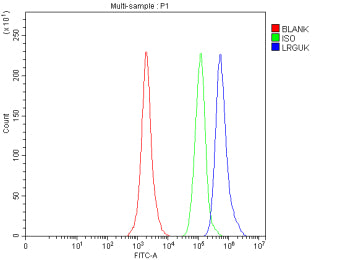 Flow Cytometry analysis of SH-SY5Y cells using anti-LRGUK antibody. Overlay histogram showing SH-SY5