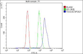 Flow Cytometry analysis of U937 cells using anti-TGOLN2 antibody. Overlay histogram showing U937 cel