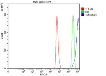Flow Cytometry analysis of Hela cells using anti-PSMD13 antibody. Overlay histogram showing Hela cel