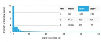 Analysis of a HuProt(TM) microarray containing more than 19,000 full-length human proteins using ID4