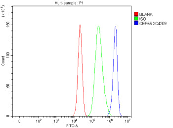 Flow Cytometry analysis of cells using anti-CEP55 antibody. Overlay histogram showing cells stained
