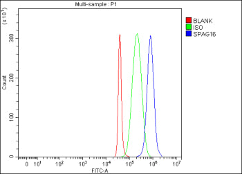 Flow Cytometry analysis of SH-SY5Y cells using anti-SPAG16 antibody. Overlay histogram showing SH-SY