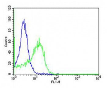 Flow cytometric analysis of HT-29 cells using anti-CD34 antibody (green) compared to an isotype cont