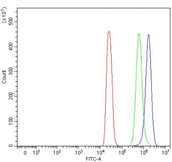 NDST4 Antibody / HSST4