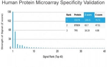 B7-H3 Antibody / CD276