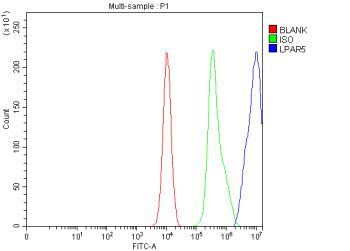 Flow Cytometry analysis of K562 cells using anti-LPAR5 antibody. Overlay histogram showing K562 cell