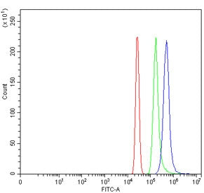 Flow cytometry testing of human HL60 cells with Zinc finger MYM-type protein 1 antibody at 1ug/milli