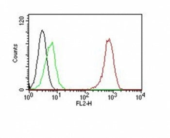 CD31 Antibody / PECAM-1