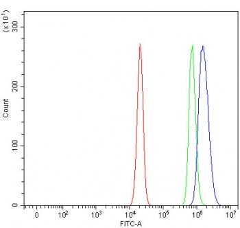 RIT2 Antibody / Ras-like protein expressed in neurons