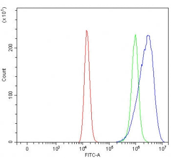 Flow cytometry testing of human HEL cells with ROM1 antibody at 1ug/million cells (blocked with goat