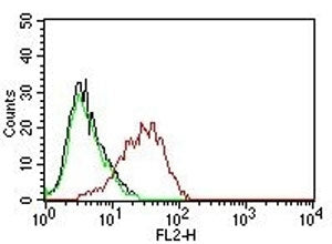 EpCAM Antibody
