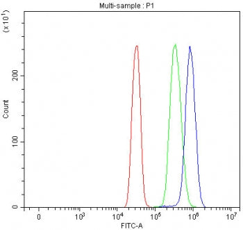 Flow cytometry testing of human SiHa cells with SF3b145 antibody at 1ug/million cells (blocked with