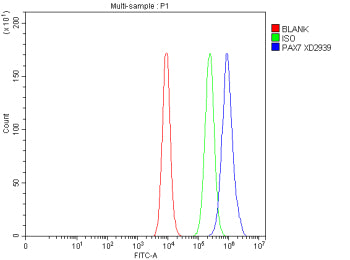 Flow Cytometry analysis of CACO-2 cells using anti-PAX7 antibody. Overlay histogram showing CACO-2 c