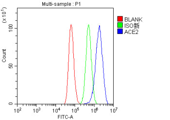 Flow Cytometry analysis of HepG2 cells using anti-ACE2 antibody. Overlay histogram showing HepG2 cel