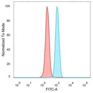ZNF239 Antibody
