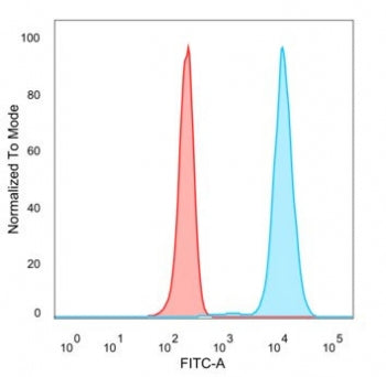 Flow cytometry testing of PFA-fixed human HeLa cells with ZSCAN12 antibody (clone PCRP-ZSCAN12-2B2)